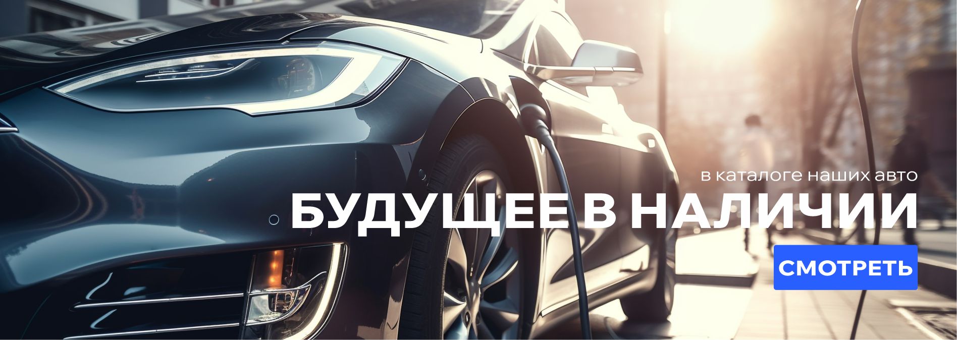Banner image.
